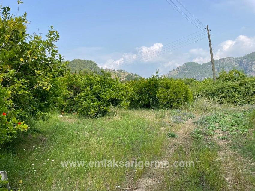 Ortaca Gökbel Mah. Satılık Tarla - Konut İmar Durumlu - 7.800 m²