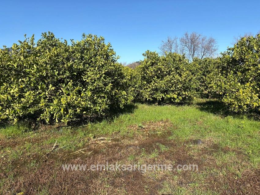 Ortaca Dalyan Mah. Satılık Tarla - Tarla İmar Durumlu - 16.500 m²