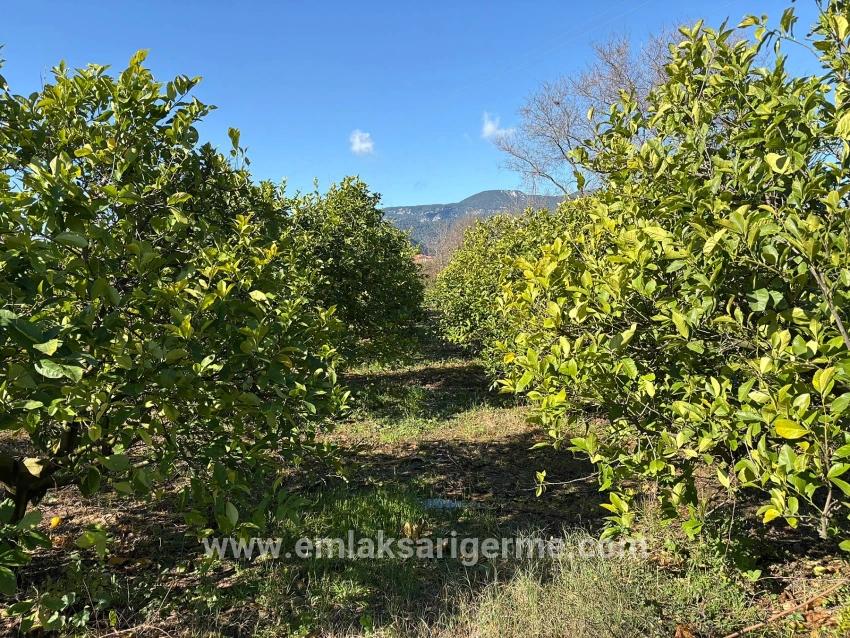 Ortaca Dalyan Mah. Satılık Tarla - Tarla İmar Durumlu - 16.500 m²
