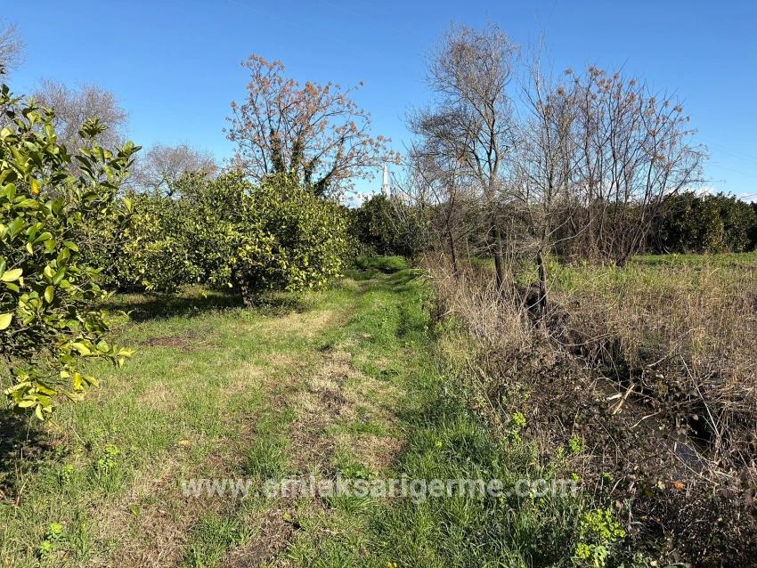 Ortaca Dalyan Mah. Satılık Tarla - Tarla İmar Durumlu - 16.500 m²