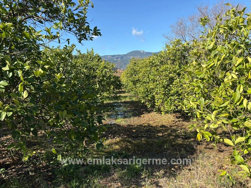 Ortaca Dalyan Mah. Satılık Tarla - Tarla İmar Durumlu - 16.500 m²