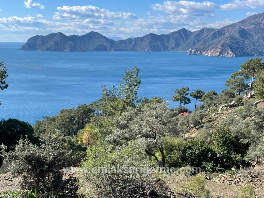 Çandır Full Deniz Manzaralı 20.000m2 Satılık 2b