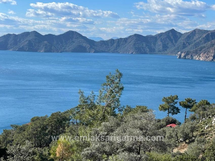 Çandır Full Deniz Manzaralı 20.000m2 Satılık 2b
