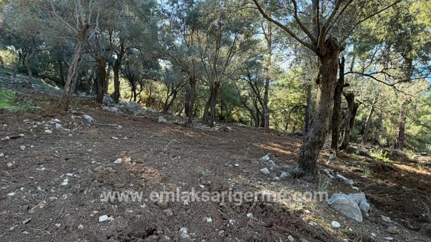 Köyceğiz Çandır Mah. Satılık Tarla - Konut İmar Durumlu - 5.715 m²