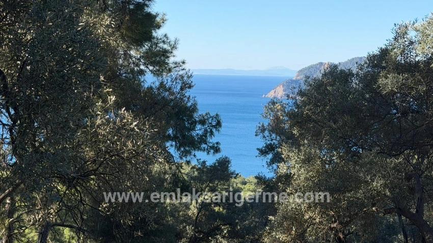 Köyceğiz Çandır Mah. Satılık Tarla - Konut İmar Durumlu - 5.715 m²