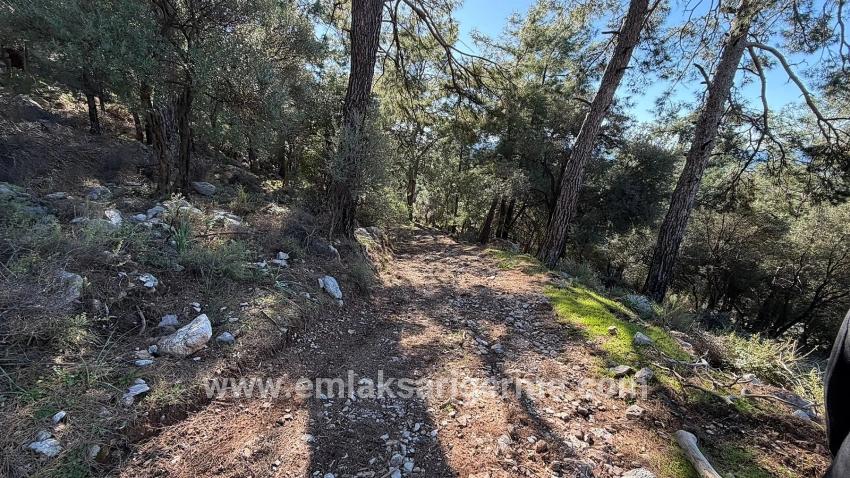 Köyceğiz Çandır Mah. Satılık Tarla - Konut İmar Durumlu - 5.715 m²