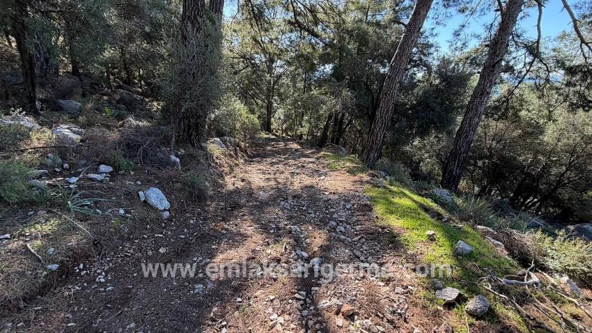 Köyceğiz Çandır Mah. Satılık Tarla - Konut İmar Durumlu - 5.715 m²