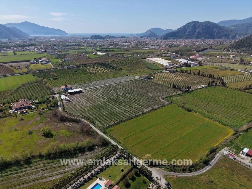 Dalyan Merkeze Yakın 17.550m2 Satılık Bağ-bahçe