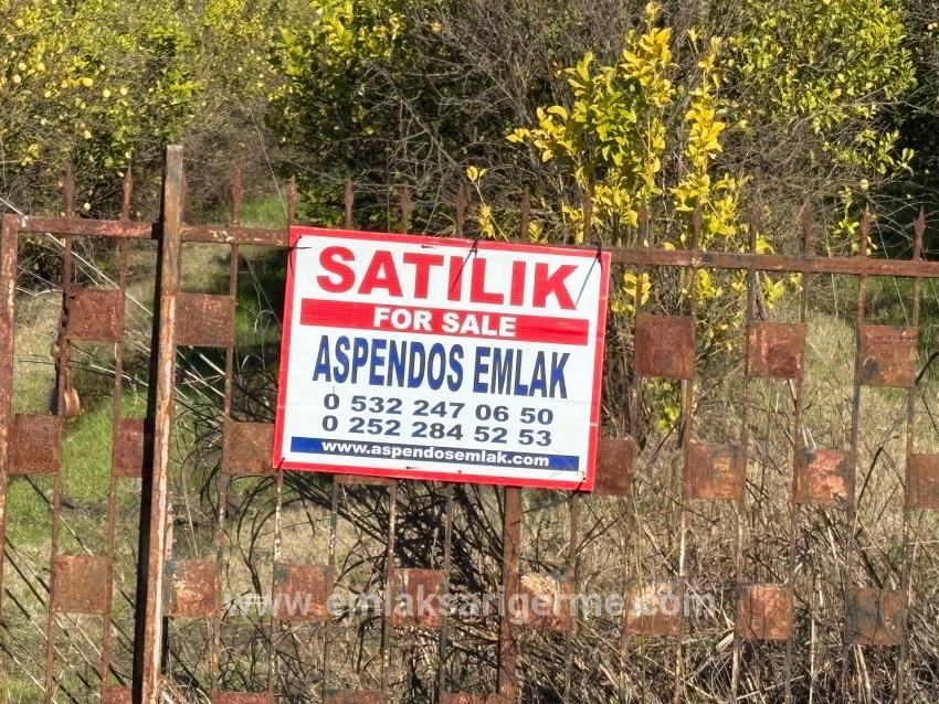 Tepearası'nda 23000m2 Müstakil Satılık Tarla