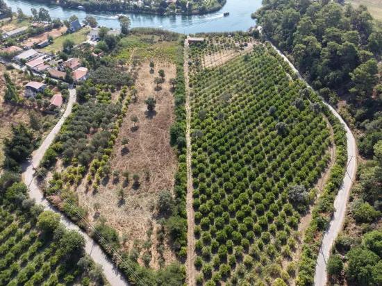 Köyceğiz Çandır Mahallesinde kanala sıfır 20.000m2 satılık tarla