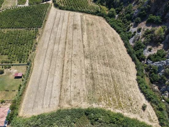Dalyan'da 20.786m2 satılık tarla