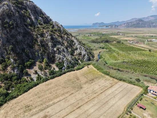 Dalyan'da 20.786m2 satılık tarla