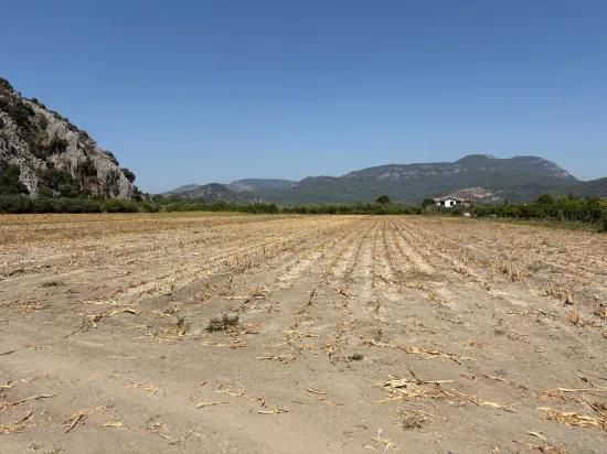 Dalyan'da 20.786m2 satılık tarla