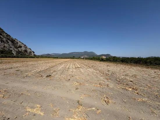Dalyan'da 20.786m2 satılık tarla