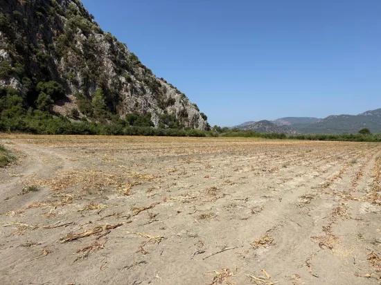 Dalyan'da 20.786m2 satılık tarla