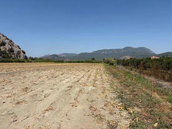 Dalyan'da 20.786m2 satılık tarla