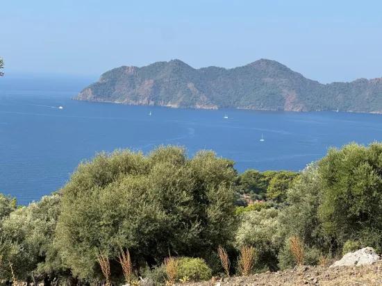 Çandır'da deniz manzaralı 21.000 m2 satılık 2b tarla