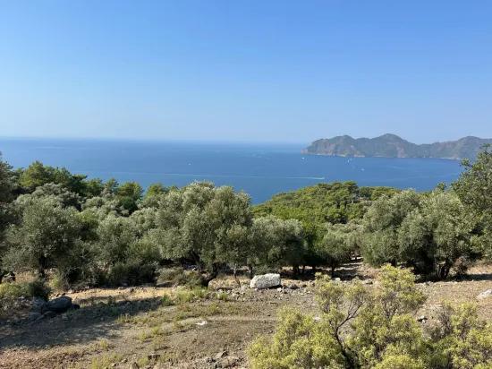 Çandır'da deniz manzaralı 21.000 m2 satılık 2b tarla