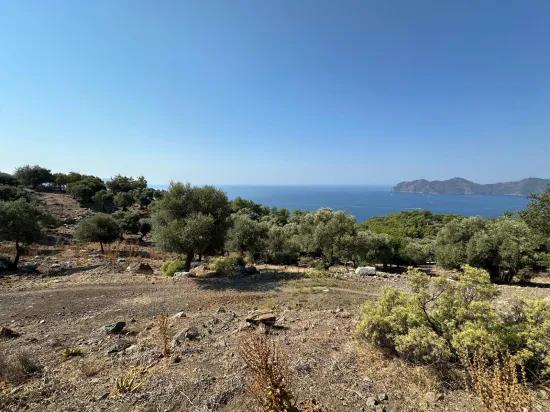 Çandır'da deniz manzaralı 21.000 m2 satılık 2b tarla