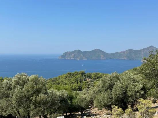 Çandır'da deniz manzaralı 21.000 m2 satılık 2b tarla