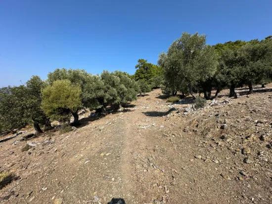 Çandır'da deniz manzaralı 21.000 m2 satılık 2b tarla