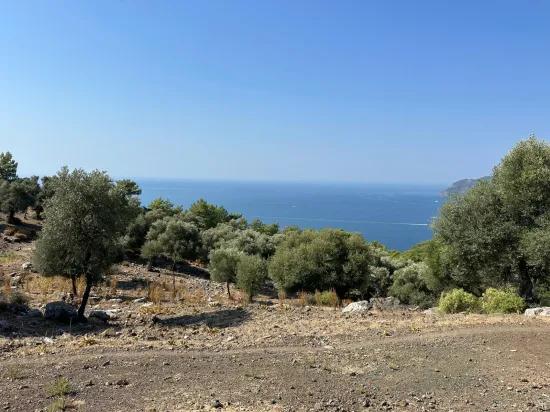 Çandır'da deniz manzaralı 21.000 m2 satılık 2b tarla