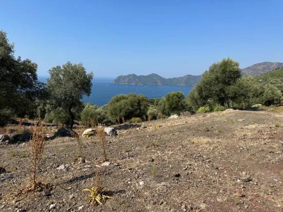 Çandır'da deniz manzaralı 21.000 m2 satılık 2b tarla