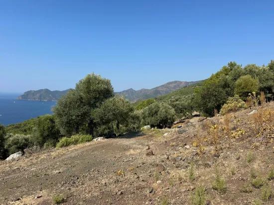 Çandır'da deniz manzaralı 21.000 m2 satılık 2b tarla