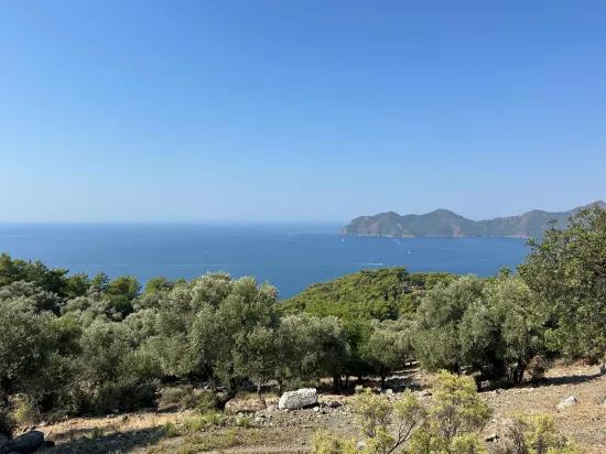 Çandır'da deniz manzaralı 21.000 m2 satılık 2b tarla