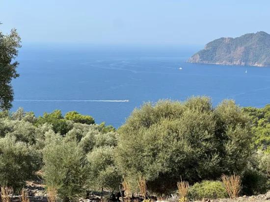 Çandır'da deniz manzaralı 21.000 m2 satılık 2b tarla