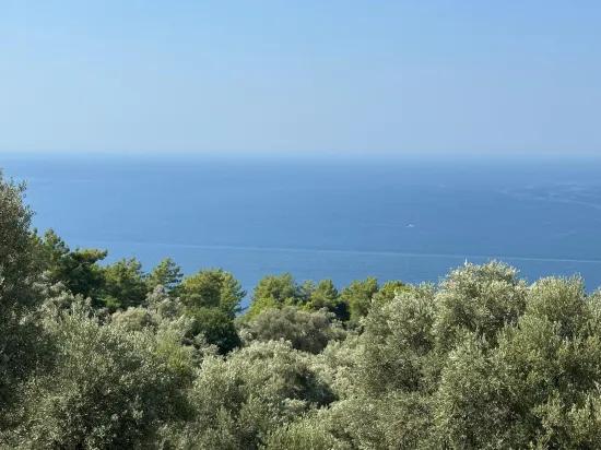 Çandır'da deniz manzaralı 21.000 m2 satılık 2b tarla