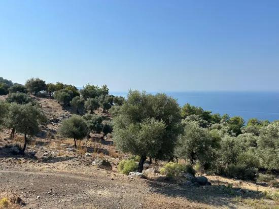Çandır'da deniz manzaralı 21.000 m2 satılık 2b tarla