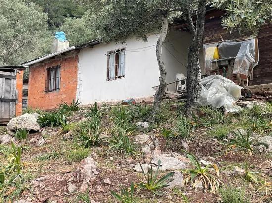 Köyceğiz Ekincik deniz manzaralı 7.000m2 2b satılık zeytinlik