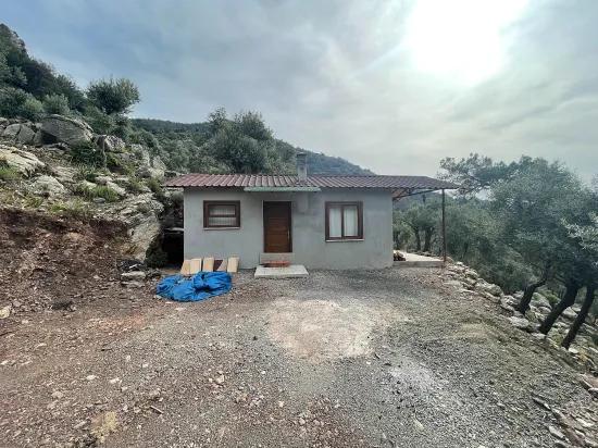 Köyceğiz Ekincik deniz manzaralı 7.000m2 2b satılık zeytinlik