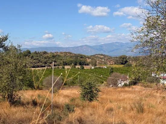Dalyan Karadağ'da göl manzaralı 5.000m2 satılık tarla