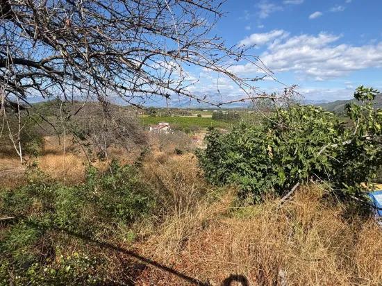 Dalyan Karadağ'da göl manzaralı 5.000m2 satılık tarla