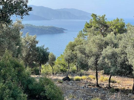 Ekincik Çandır Arasın'da Deniz Manzaralı Kelepir Emlak Satılık Arsa