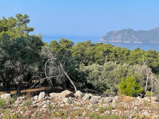 Ekincik Çandır Arasın'da Deniz Manzaralı Kelepir Emlak Satılık Arsa