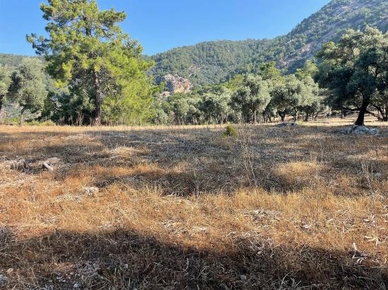 Ekincik Çandır Arasın'da Deniz Manzaralı Kelepir Emlak Satılık Arsa