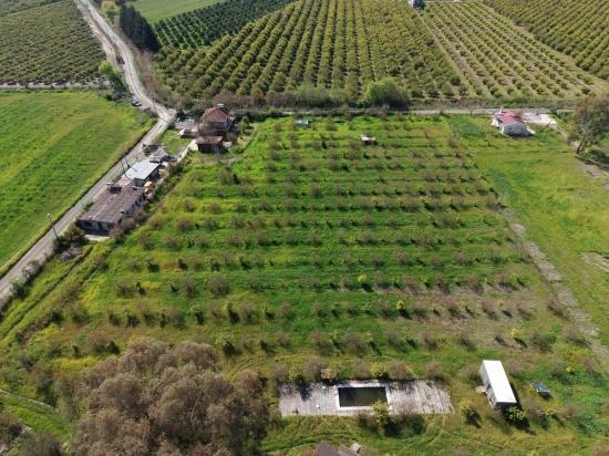 Eskiköy'de 11,000m2 Arsa İçinde Turizm Amaçlı İşletme Satılık