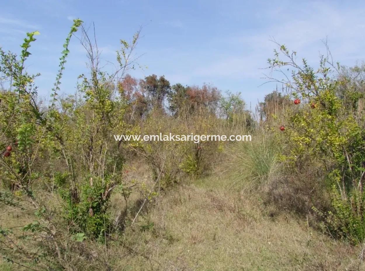 Güzelyurt Satılık Arsa  Köy Yerleşik 6670M2 Satılık Arazi