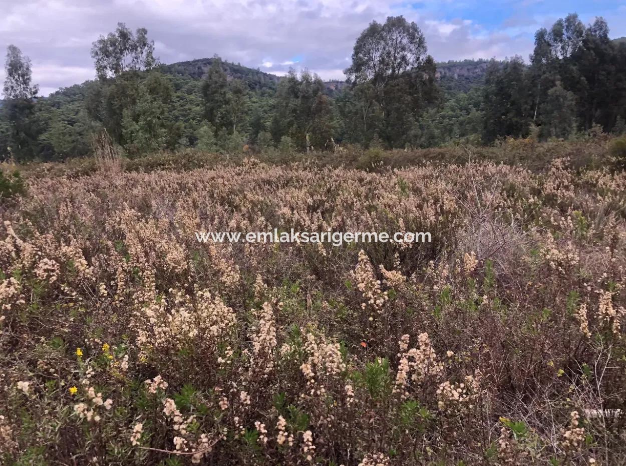 Çamlı Kanala Sıfır Satılık Arazi Arsa Çamlıda Deniz Manzaralı 28768M2 Satılık Arsa