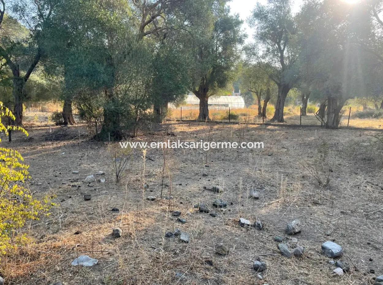 Çandır 3,800M2 Satılık Arsa