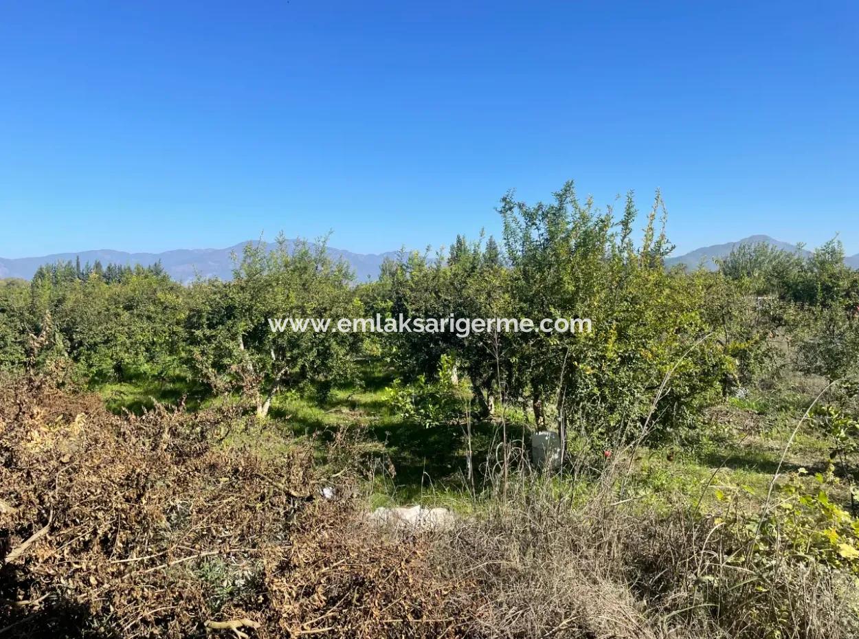 Dalyan'da Satılık 2223M2 Tarla