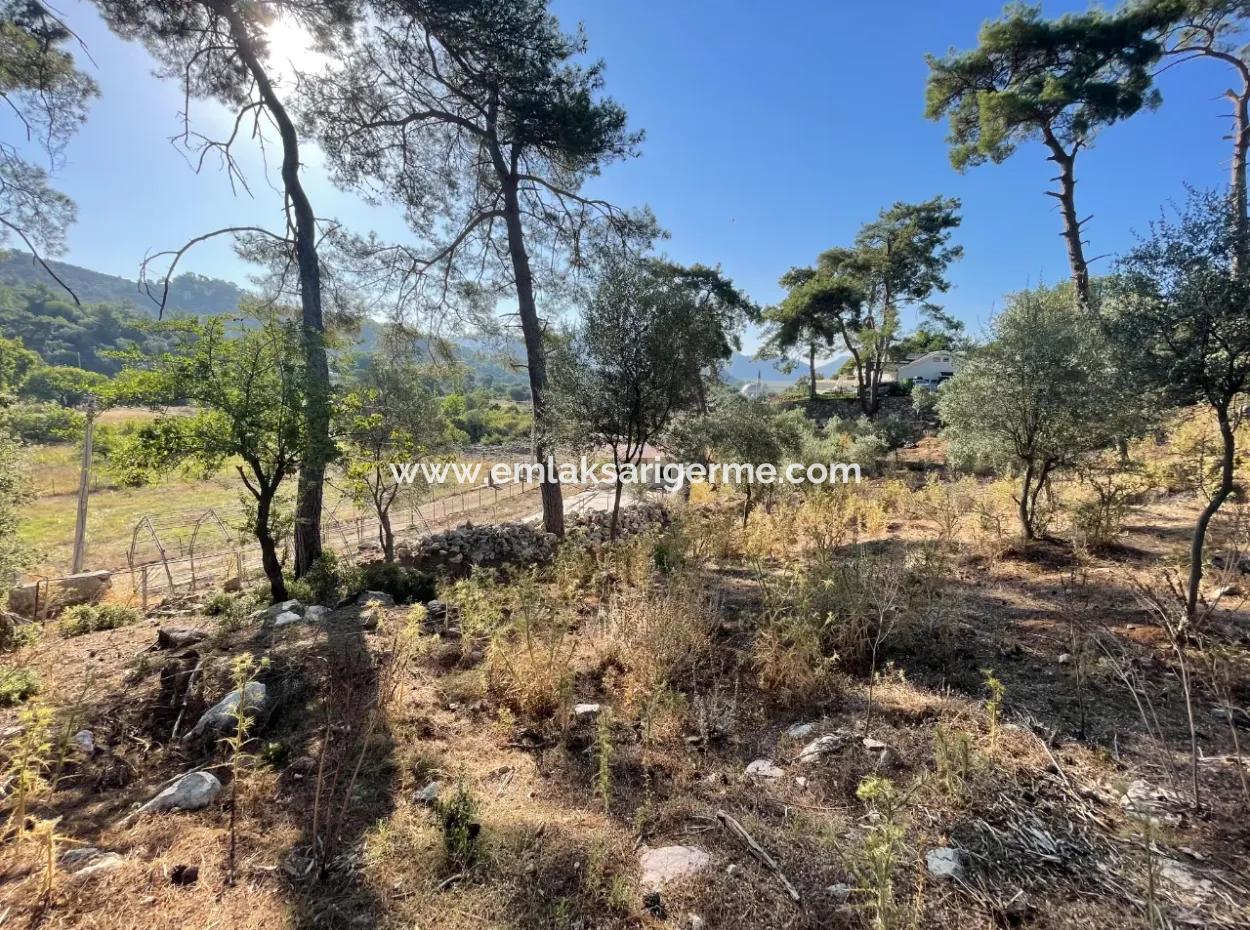 Çandır Merkezde Ormana Sıfır 1,320M2 Satılık Tarla