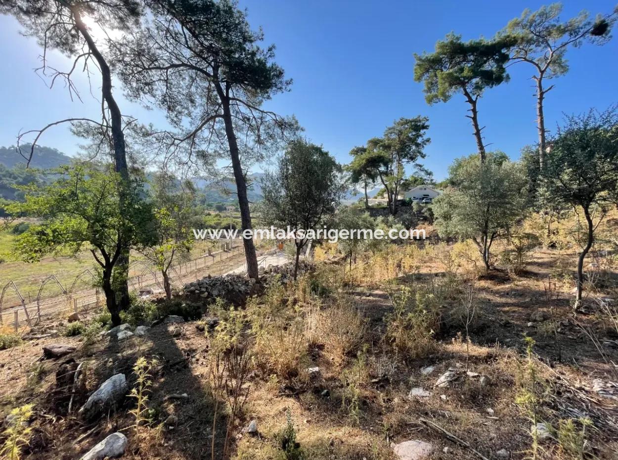 Çandır Merkezde Ormana Sıfır 1,320M2 Satılık Tarla