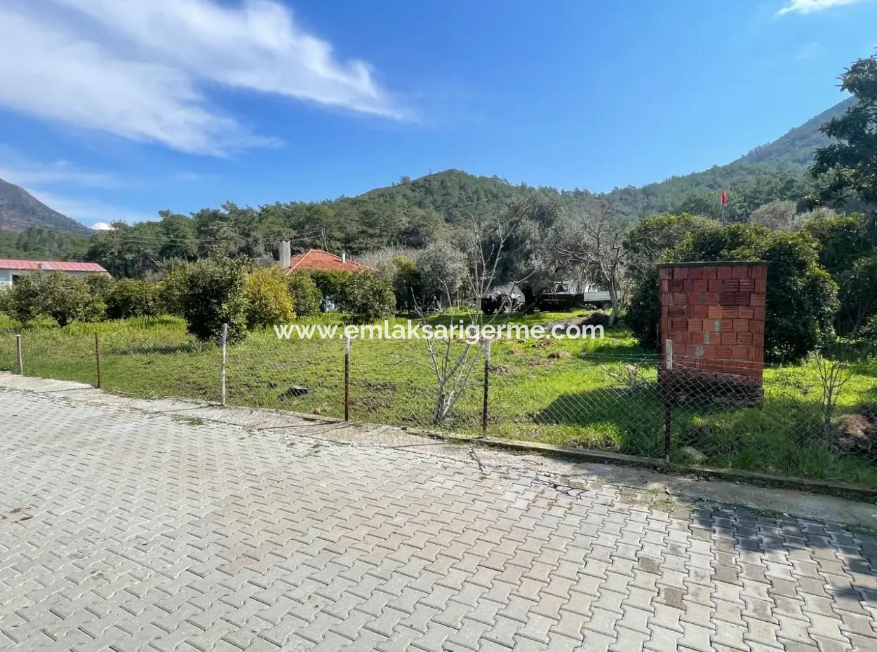 Sultaniye Büyükkaraç Mahallesin Satılık Tarla